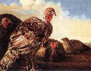 CUYP, Aelbert Domestic Fowl oil